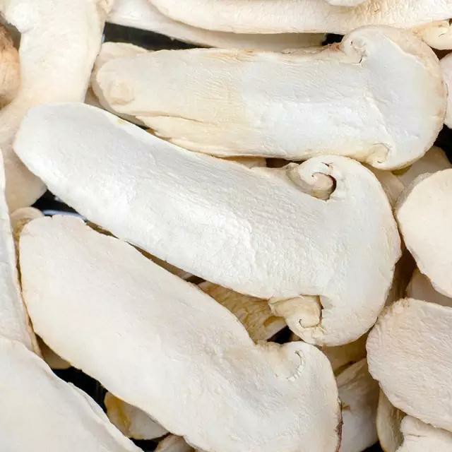 凍干松茸
